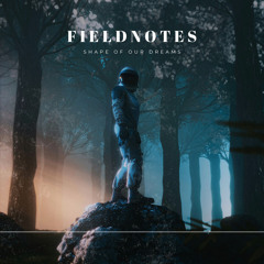 Fieldnotes