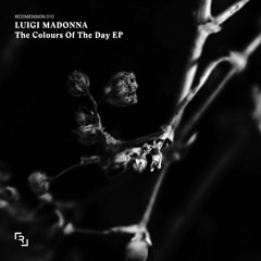 REDIMENSION010 B2 Luigi Madonna - Dark Grey