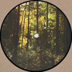 Jared Wilson - New Era (JJB-001)