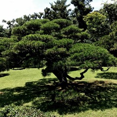 There Was A Fresh Morning Breeze - #3107 By Chair House 06172022