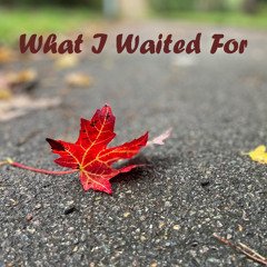 What I waited for