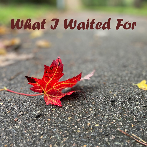 What I waited for