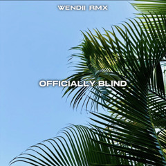 WENDII - OFFICIALLY BLIND (AFROCHILL REMIX)