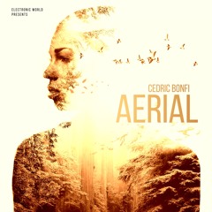 Aerial (Original Mix)
