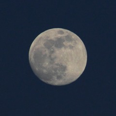 Moon Tunes