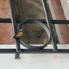 Cigarrillos de la vieja Lima - demo