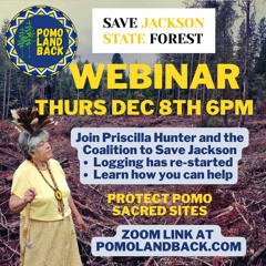 Pomo Landback Movement for Jackson Demonstration State Forest