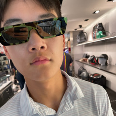 rhythm of the nightt