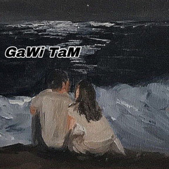 GAWI TAM-STEExTRIPLE T