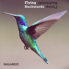 Flying Backwards