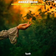 Cedar Echo  - Dawn Blossoms Plucked at Dusk [Synth Collective]