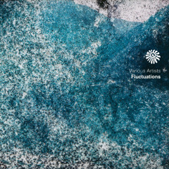 Various Artists - Fluctuations
