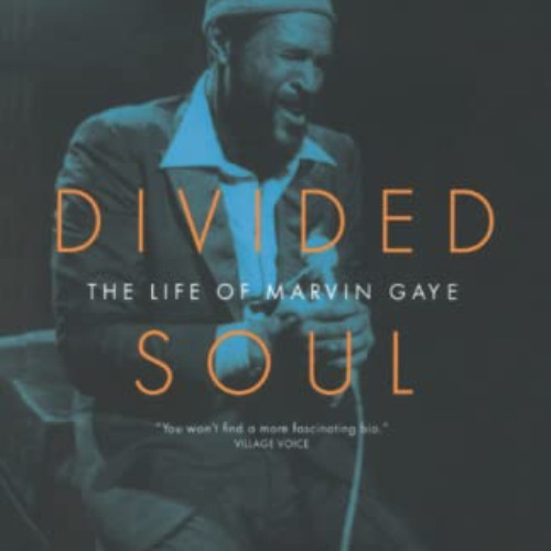 ACCESS PDF 📚 Divided Soul: The Life Of Marvin Gaye by  David Ritz PDF EBOOK EPUB KIN