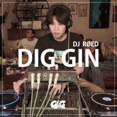 RØED｜DIG GIN LIVE ｜ JUN 2025
