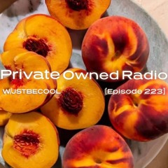 Private Owned Radio #223 w/ JSTBECOOL