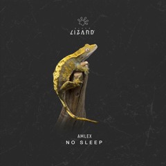 Amlex - No Sleep
