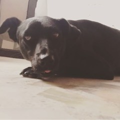 Healthy Moon (Zachary Cole Smith)