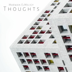 TH394 Marwan ElMeligy Thoughts