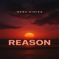 Reason [Prod. By Nebu Kiniza]