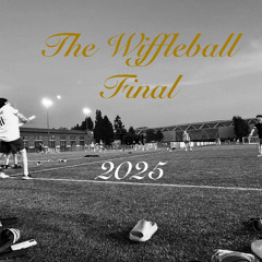 Wiffleball 2025 - The Championship Game