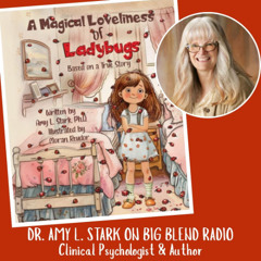 Dr Amy Stark - A Magical Loveliness of Ladybugs