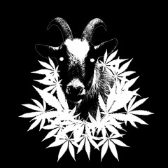 MISPLACED [PROD.KAIZENURAMESHI]