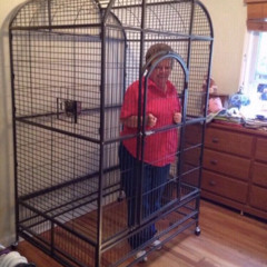 I dont think i wanna be here with you