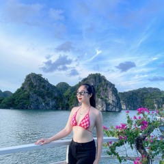 VINAHOUSE MIXTAPE 2023  HAPPY BIRTHDAY   DJTILO