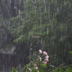 rain (THEHILLS) (in.2019)