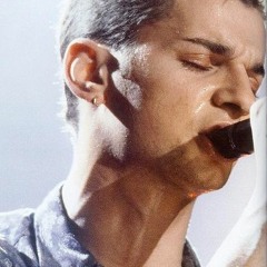 Depeche Mode -Boys Say Go- (Cover)