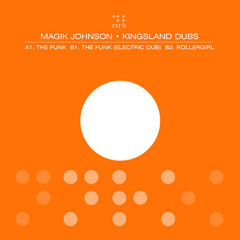 The Funk (Electric Dub)
