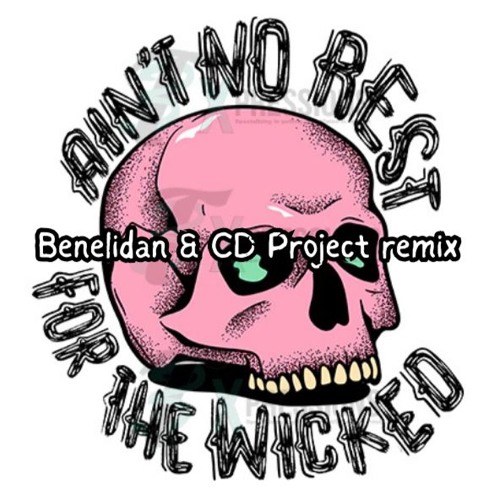 Cage The Elephant - Ain't No Rest For The Wicked (Benelidan & CD Project remix)