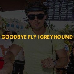 Goodbye Fly | Greyhound (Axwell Mashup)