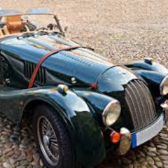 The Bunny's Chariot
