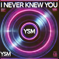 I Never Knew You