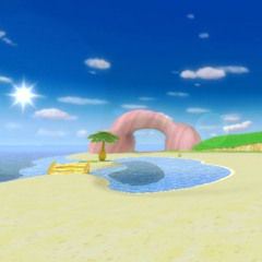 mario kart wii: peach beach - idn flip