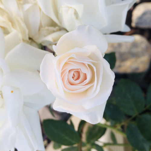 Rough Demo When He Sees Me By S U N F L O W E R