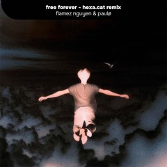free forever (hexa.cat remix)