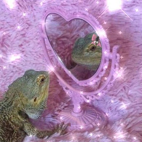 PSYCHE - DELULU (FREE DL)