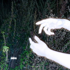 silent, silent - yukidead