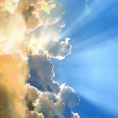 Heavenly On The Rolandifer