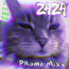 ZAZA 2025 PROMO MIX