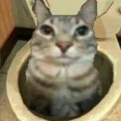 ROBLOX DOOMSHOP COLLAB AUDIO MAKER BYPASSED ID BY AMPEDTRACKS MP10SD ULTRA MEGA RARE SUPER RARE LOUD