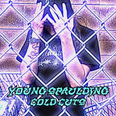 Cold Cuts(Prod.monteangelo)