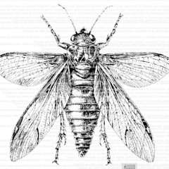 dj topgun prod syrealugly “cicada”