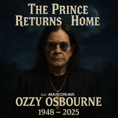 The Prince Returns Home
