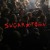 Artwork for SUGAR TOWN #2: Musicien.nes du punk