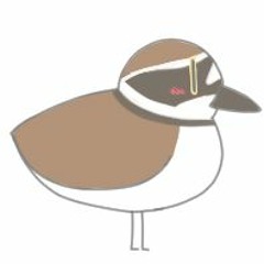 千鳥は (Chidori wa)