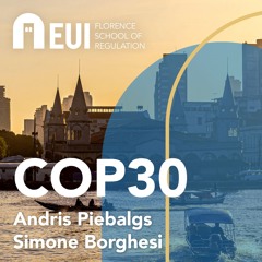 #COP30: zooming in and out