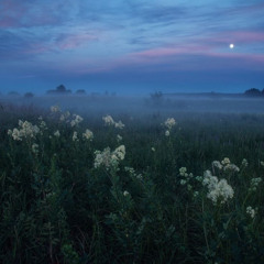 Feel It 2 (by. DZiret Spacious)